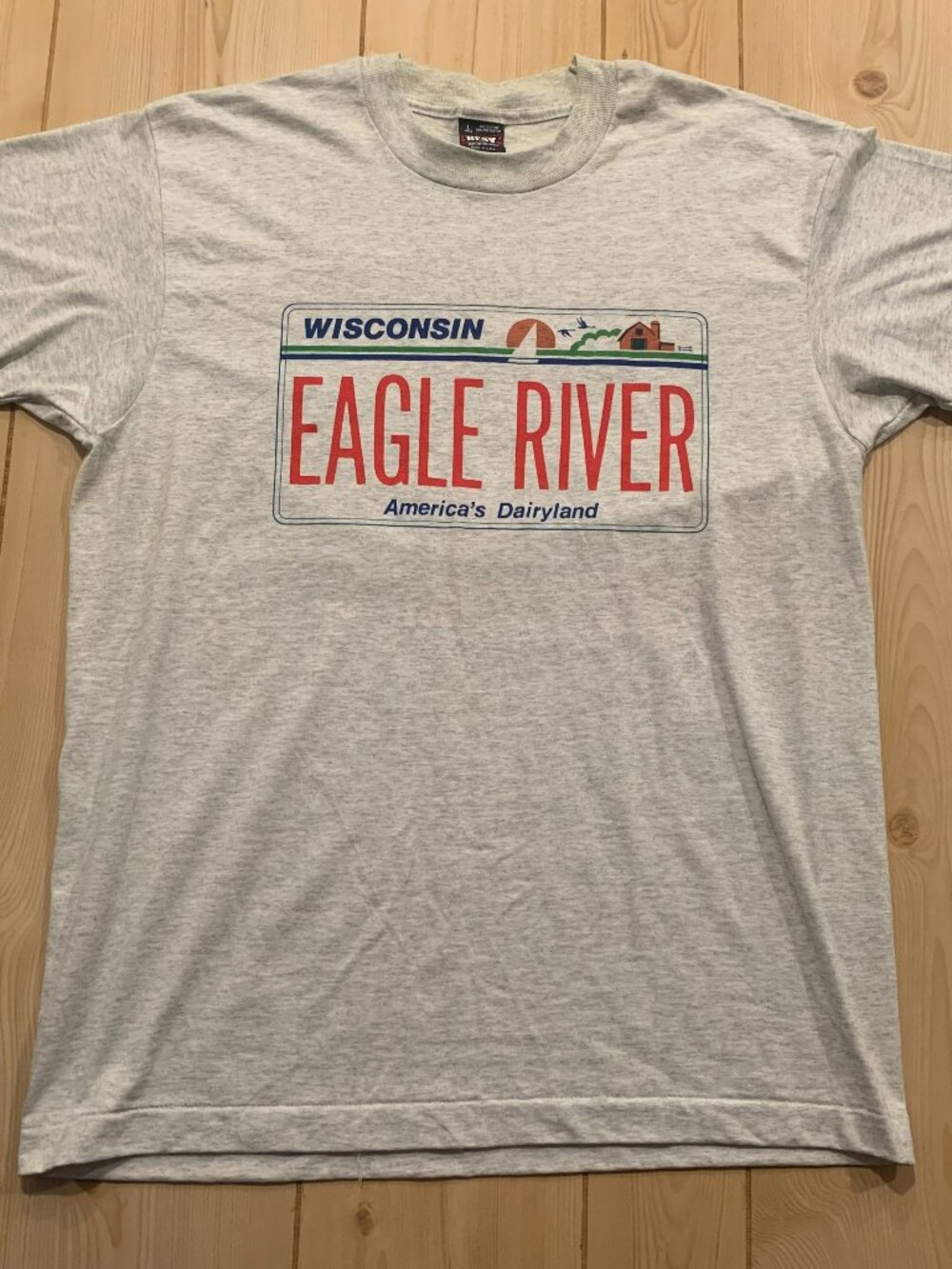 Vintage 90s Eagle River Wisconsin License Plate Tourist Souvenir T-Shirt Size L
